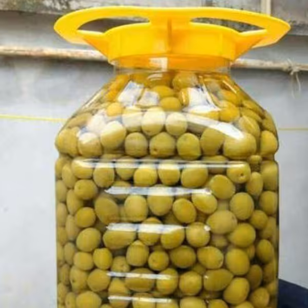 زیتون با هسته خوش طعم 7 کیلویی 