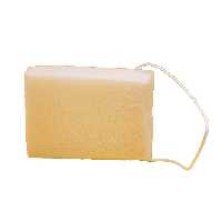 اسفنج تمیز‌کننده بدن