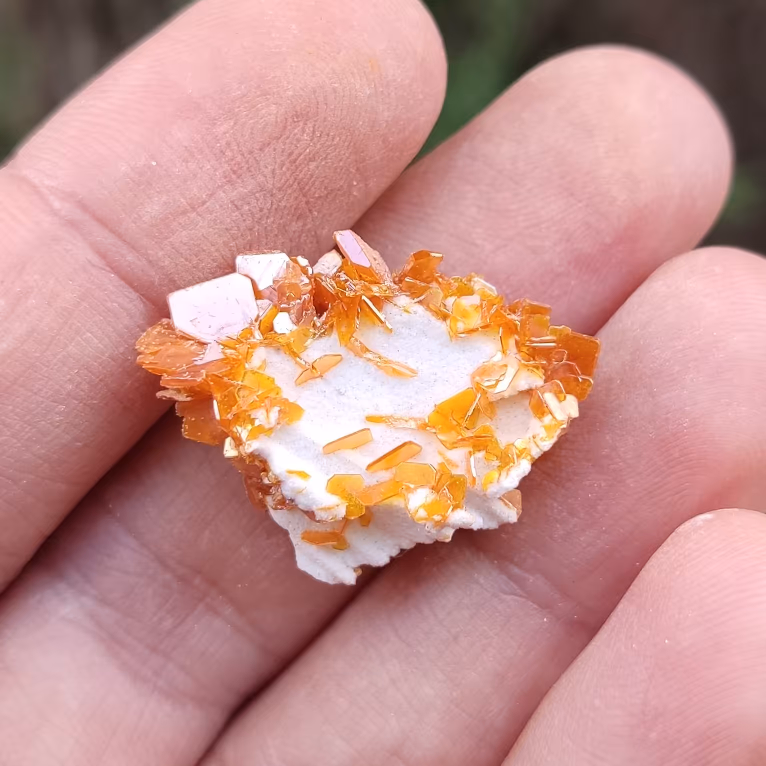 سنگ ولفونیت کلکسیونی (کد23)