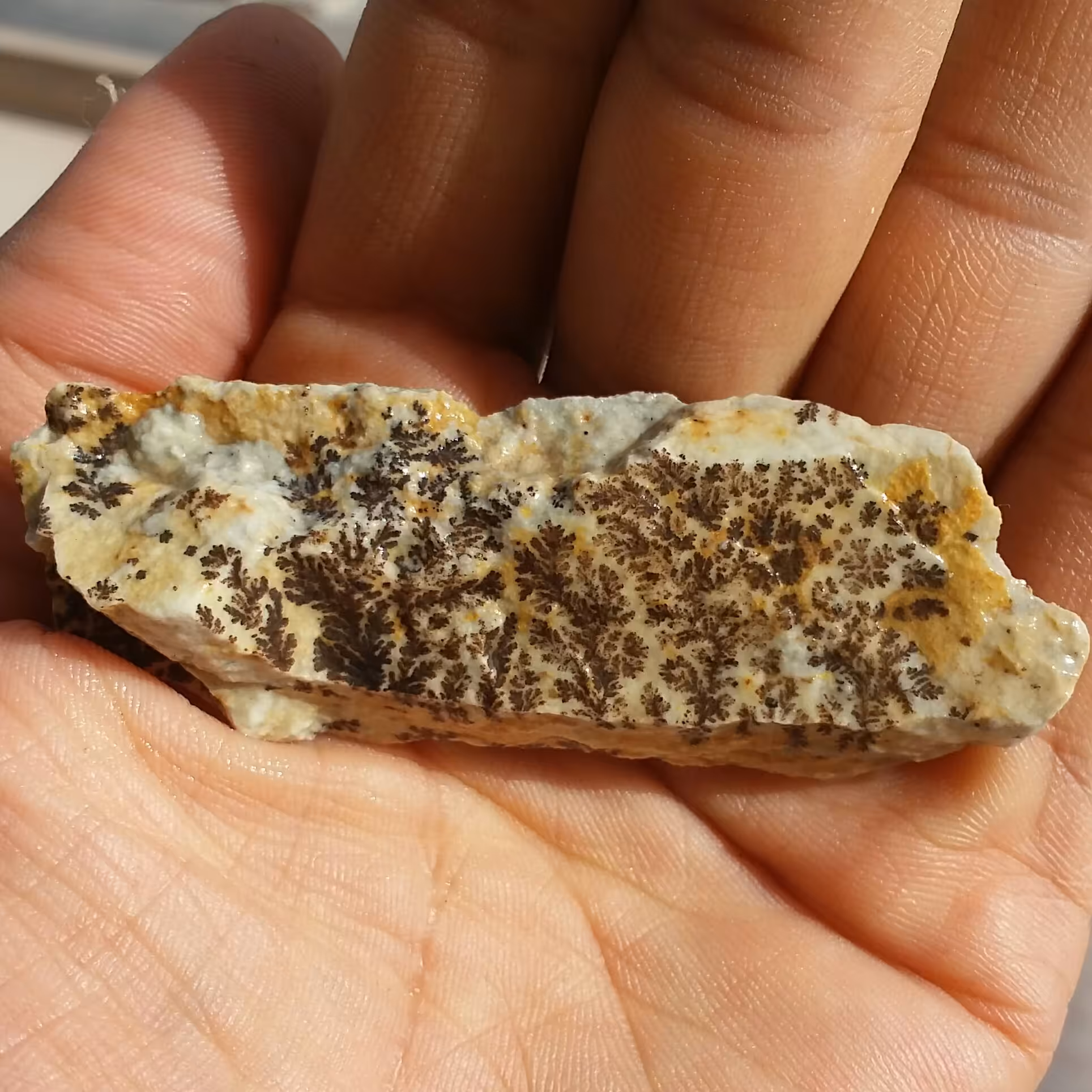 سنگ راف 100 در صد طبیعی شجر دندریتی یا فسیلی محشر شاهکار خلقت بینظیر
