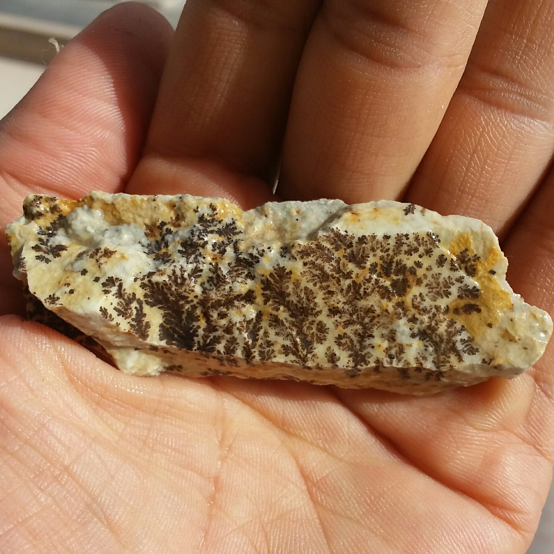 سنگ راف 100 در صد طبیعی شجر دندریتی یا فسیلی محشر شاهکار خلقت بینظیر
