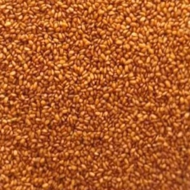 خاکشیر 100گرمی