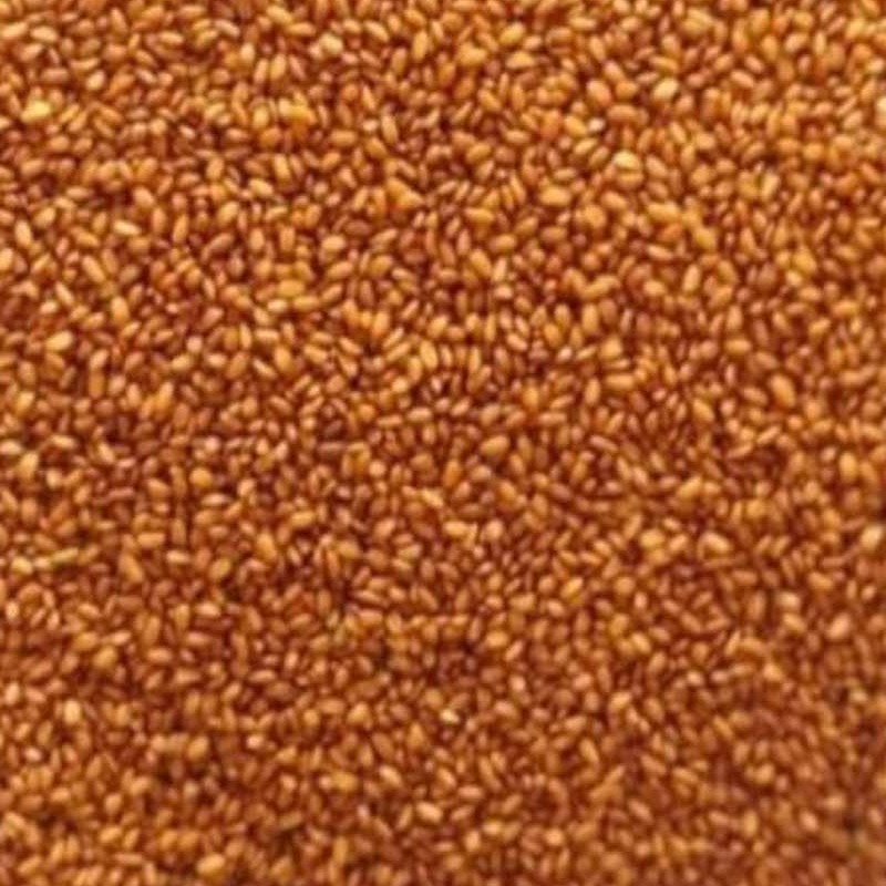 خاکشیر 100گرمی