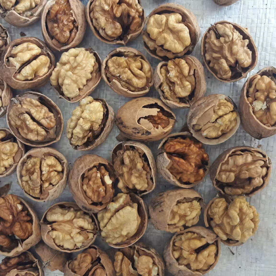 گردو با پوست قهوه ای روشن 900 گرمی