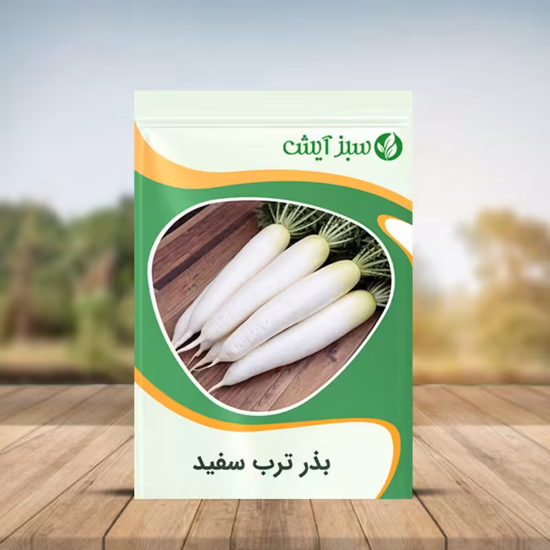 بذر ترب سفید