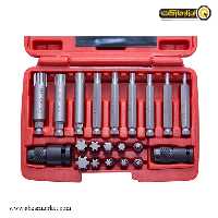 ست سر پیچ گوشتی داناپلاس 6 پر 21 عددی مدل D3941421