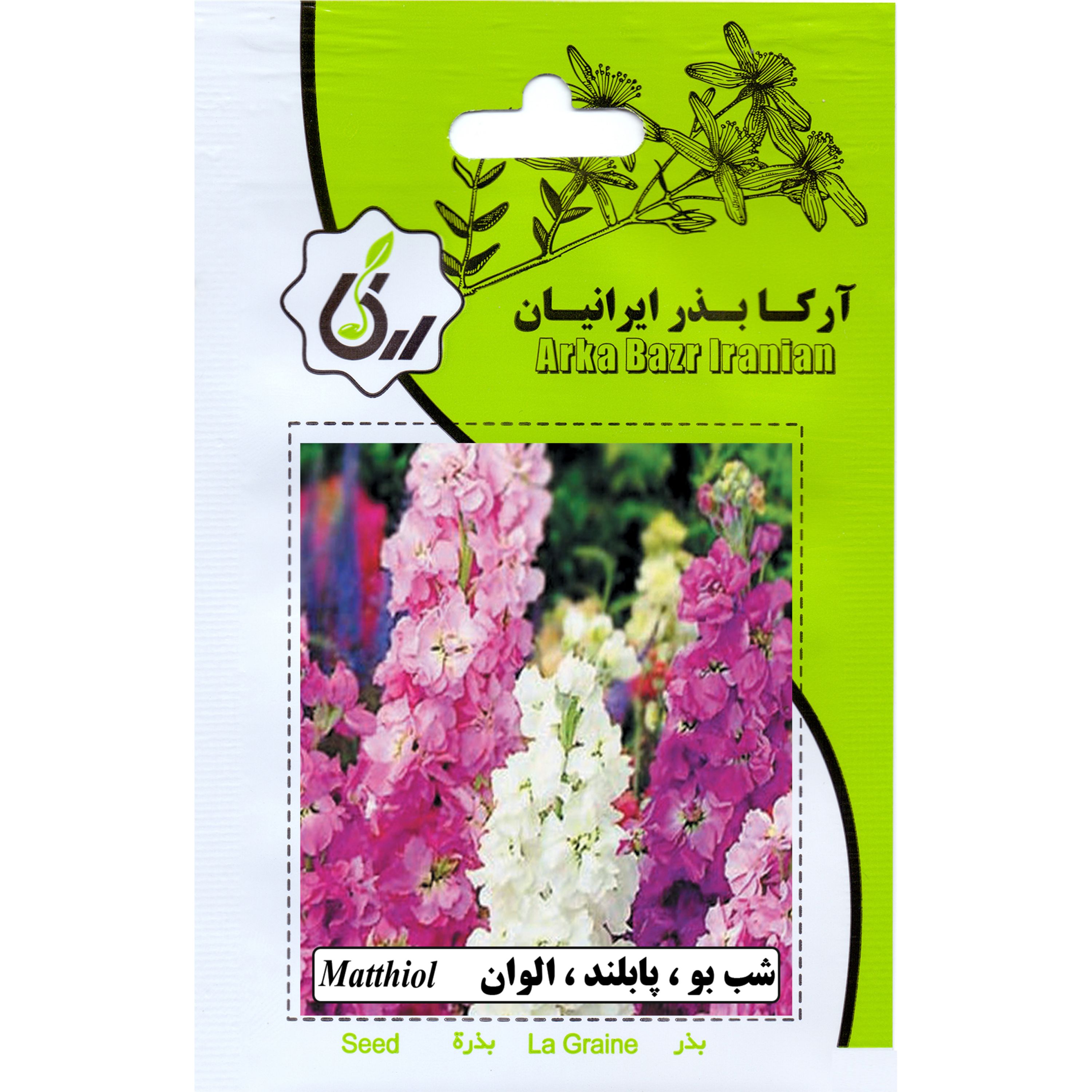 شب بو پابلند الوان ارکا بذرایرانیان