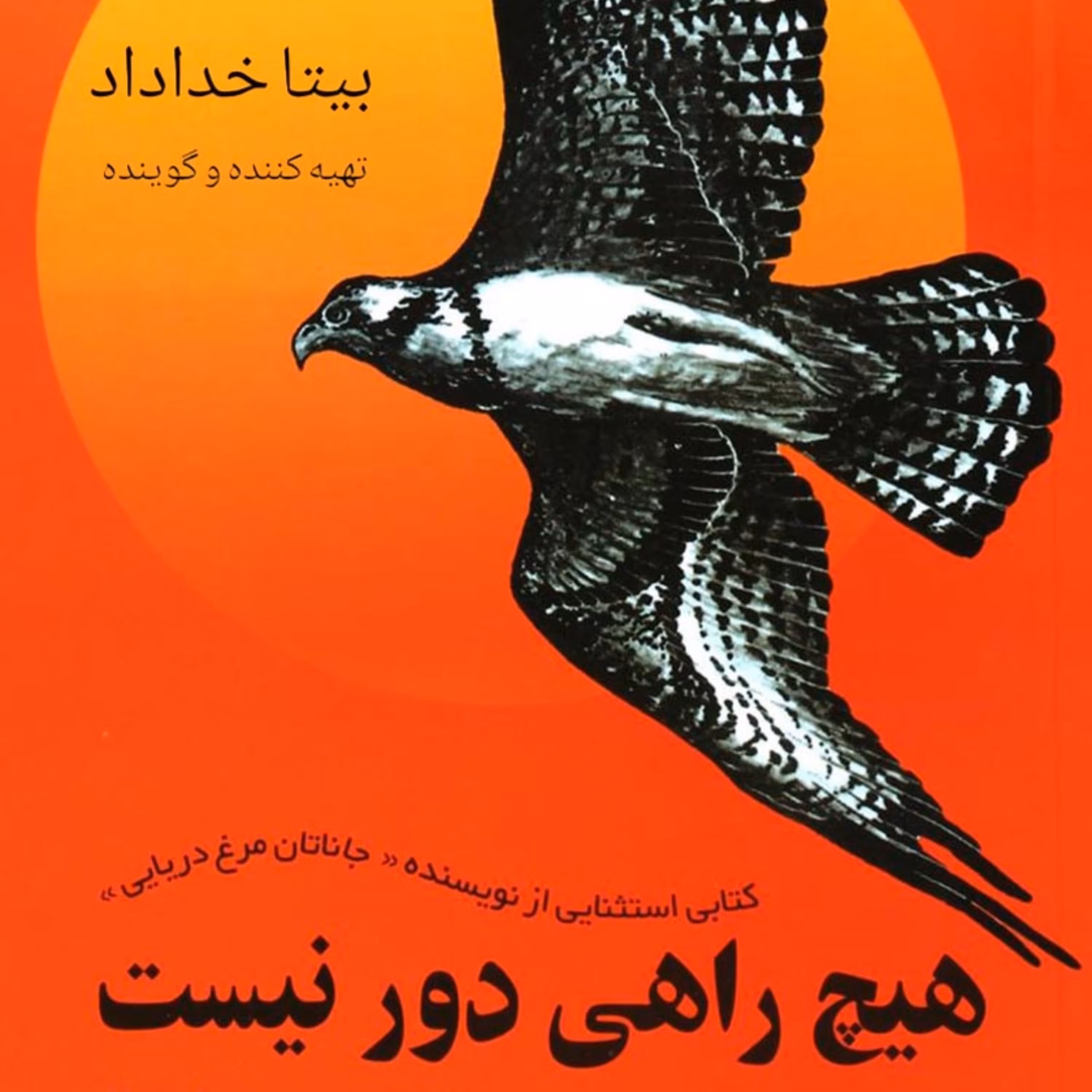 هیچ راهی دور نیست (از نویسنده جاناتان مرغ دریایی)