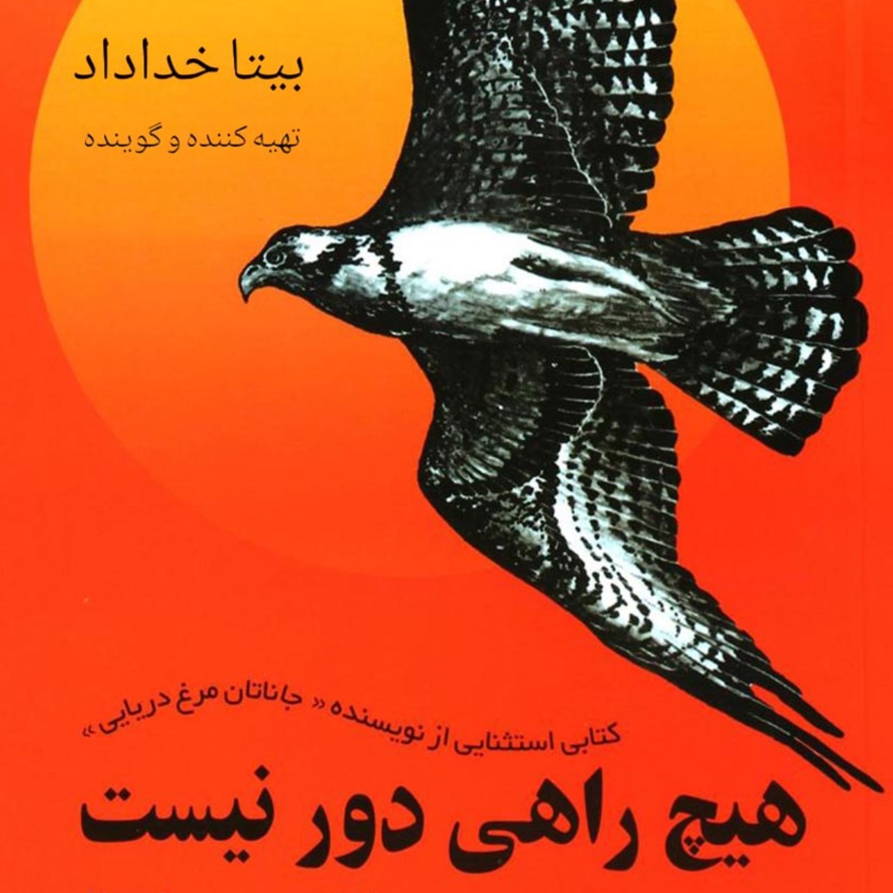 هیچ راهی دور نیست (از نویسنده جاناتان مرغ دریایی)