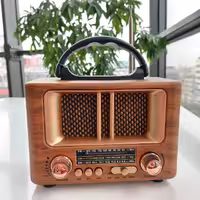 اسپیکر رادیویی مدل NNS8108BT
