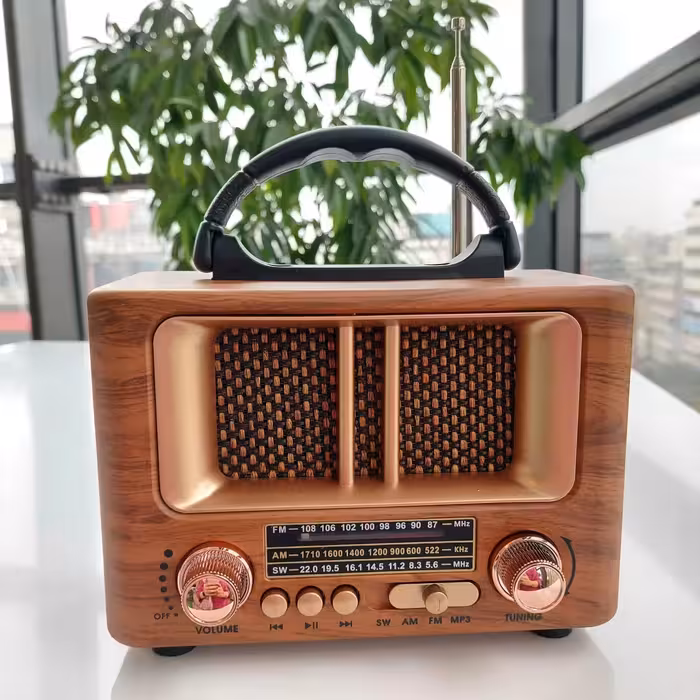 اسپیکر رادیویی مدل NNS8108BT
