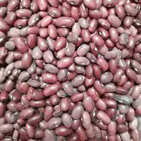 لوبیا قرمز اعلا 900 گرمی