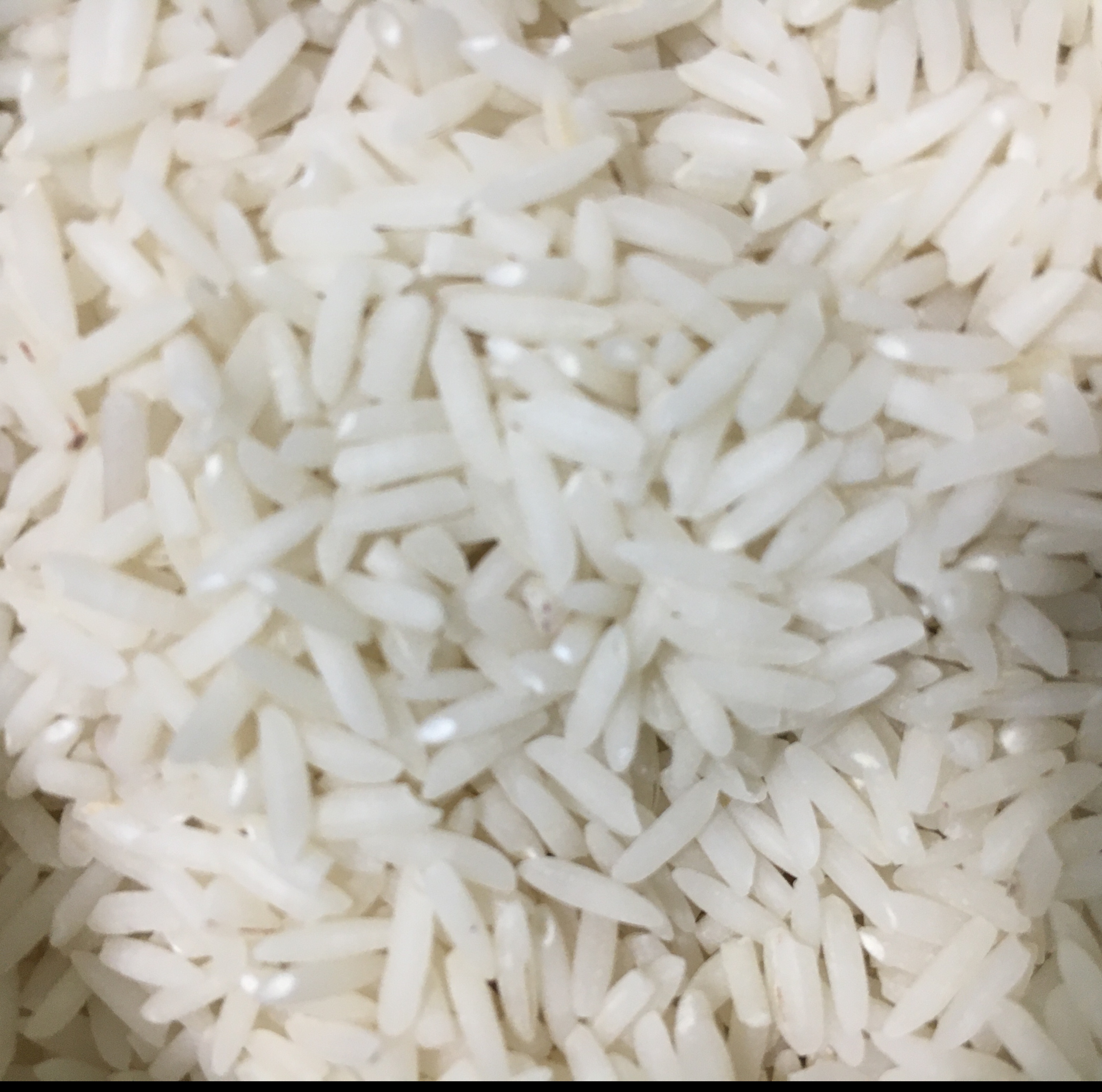 برنج هاشمی درجه 1 گیلان