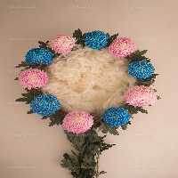 بک دراپ عکاسی نوزاد با گل های آبی و صورتی | گرافیک با طعم تربچه