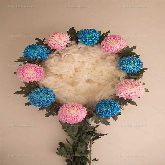 بک دراپ عکاسی نوزاد با گل های آبی و صورتی | گرافیک با طعم تربچه