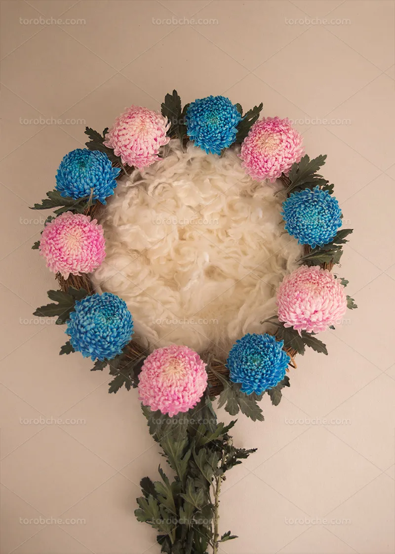 بک دراپ عکاسی نوزاد با گل های آبی و صورتی | گرافیک با طعم تربچه