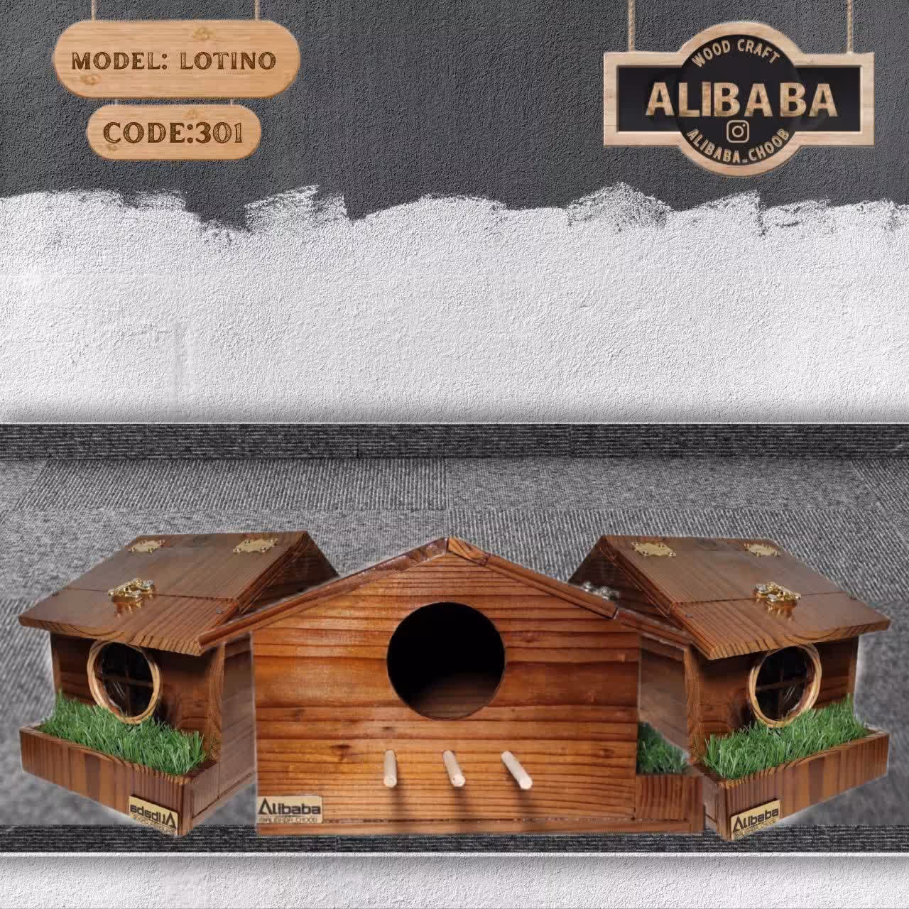 لانه چوبی  کوتوله و طوطی برزیلی