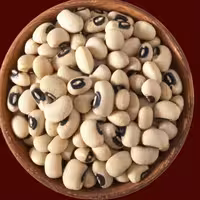 چشم بلبلی یک کیلویی با قیمت مزرعه .10 کیلو به بالا، سفارش پذیرفته میشود