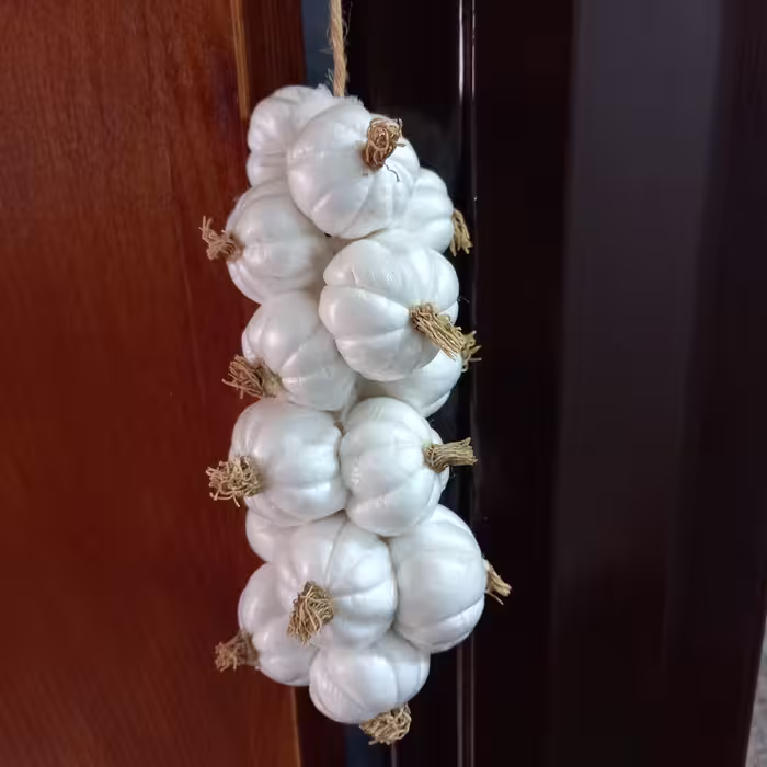 آویز و دیوارکوب آشپزخانه طرح سیر