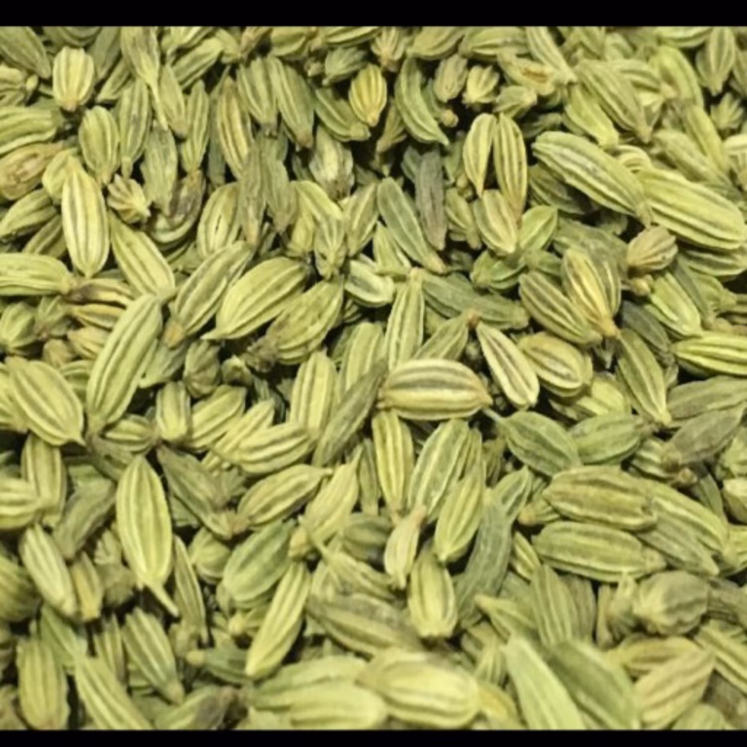 رازیانه (بادیون) اعلا تمبز