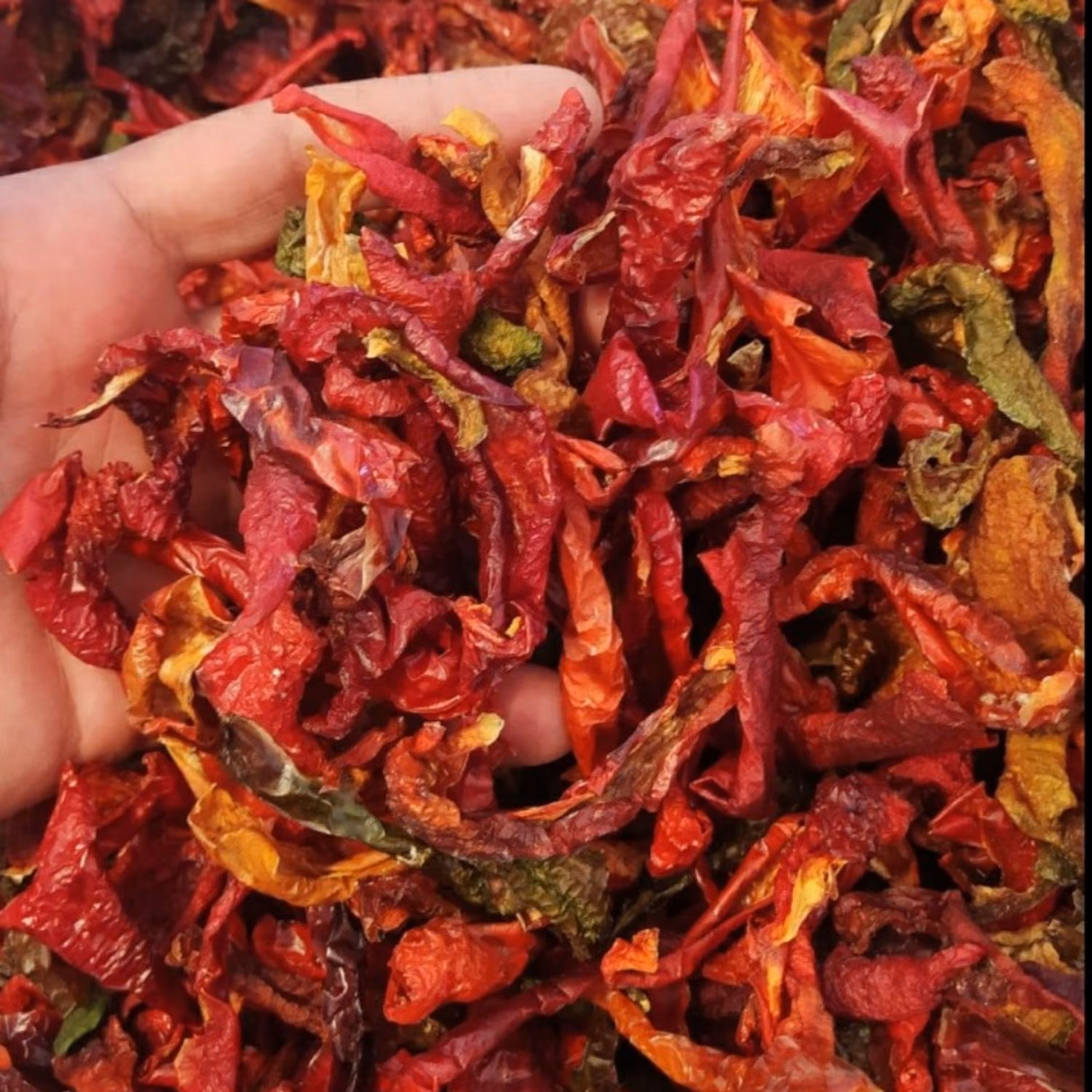 پاپریکا خلال شده 200 گرمی خانگی