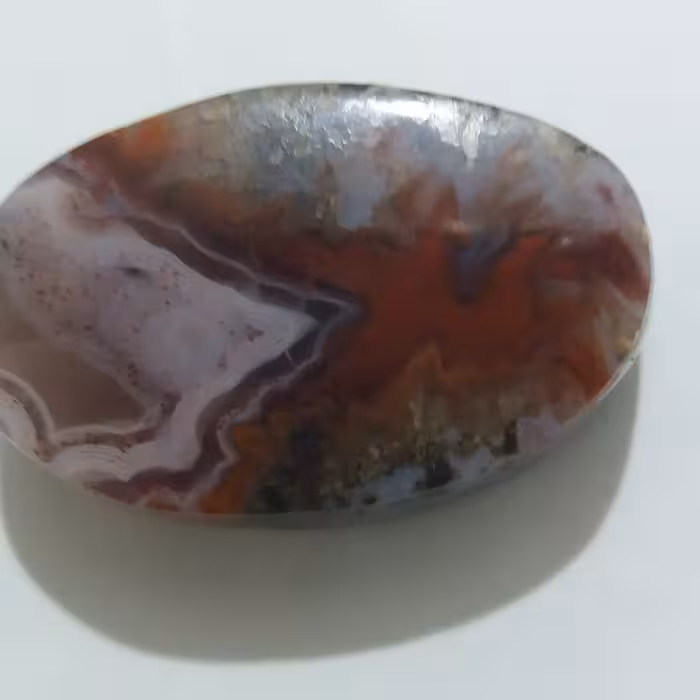 نگین انگشتر شجر دریایی زیبا