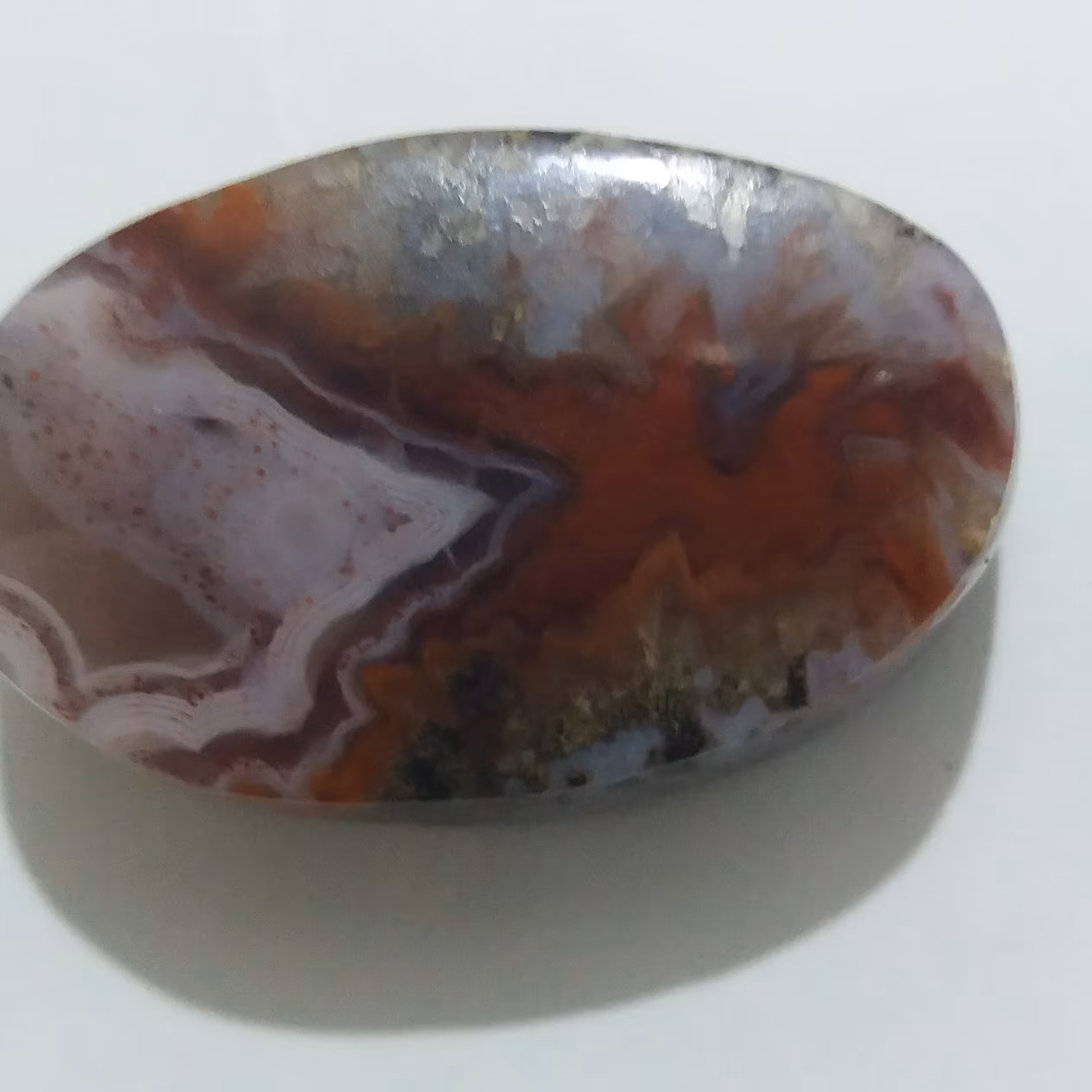 نگین انگشتر شجر دریایی زیبا