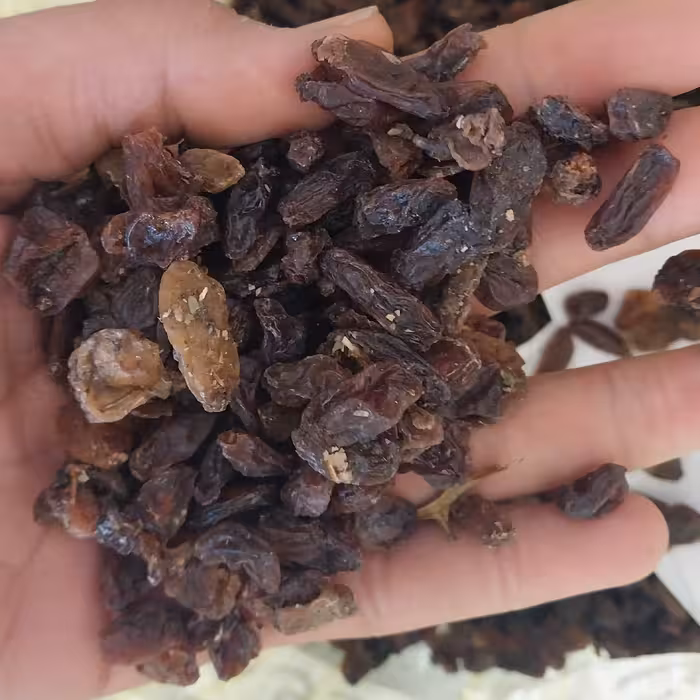 کشمش افتابی (ضایعات)