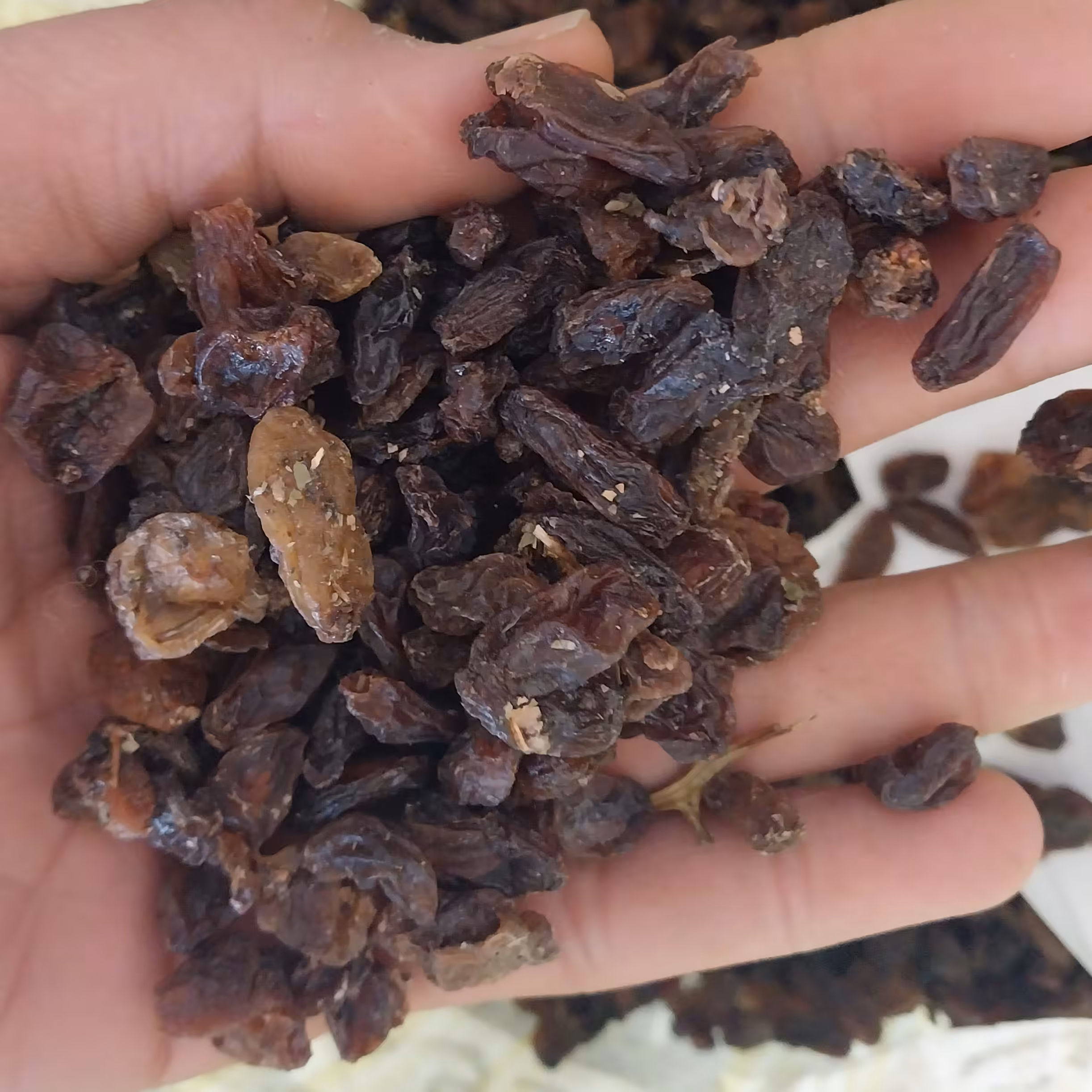 کشمش افتابی (ضایعات)