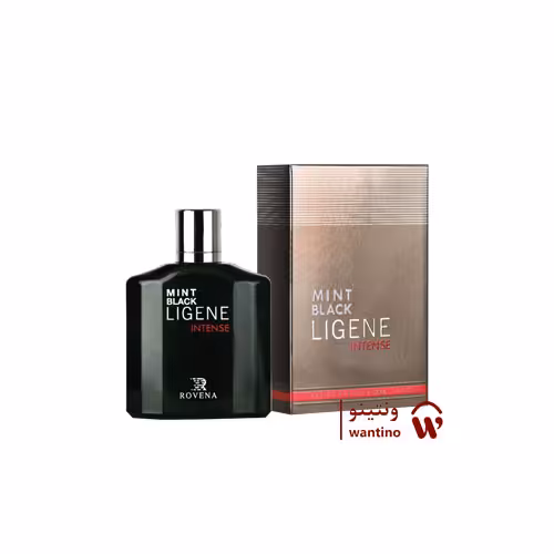 عطر ادکلن مردانه مونت بلنک لجند اینتنس روونا (Rovena Mont Blanc Legend Intense)