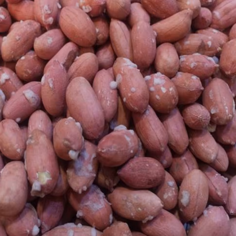 بادام زمینی آستانه اشرفیه ، درشت، محصول 1403 ، دو کیلویی