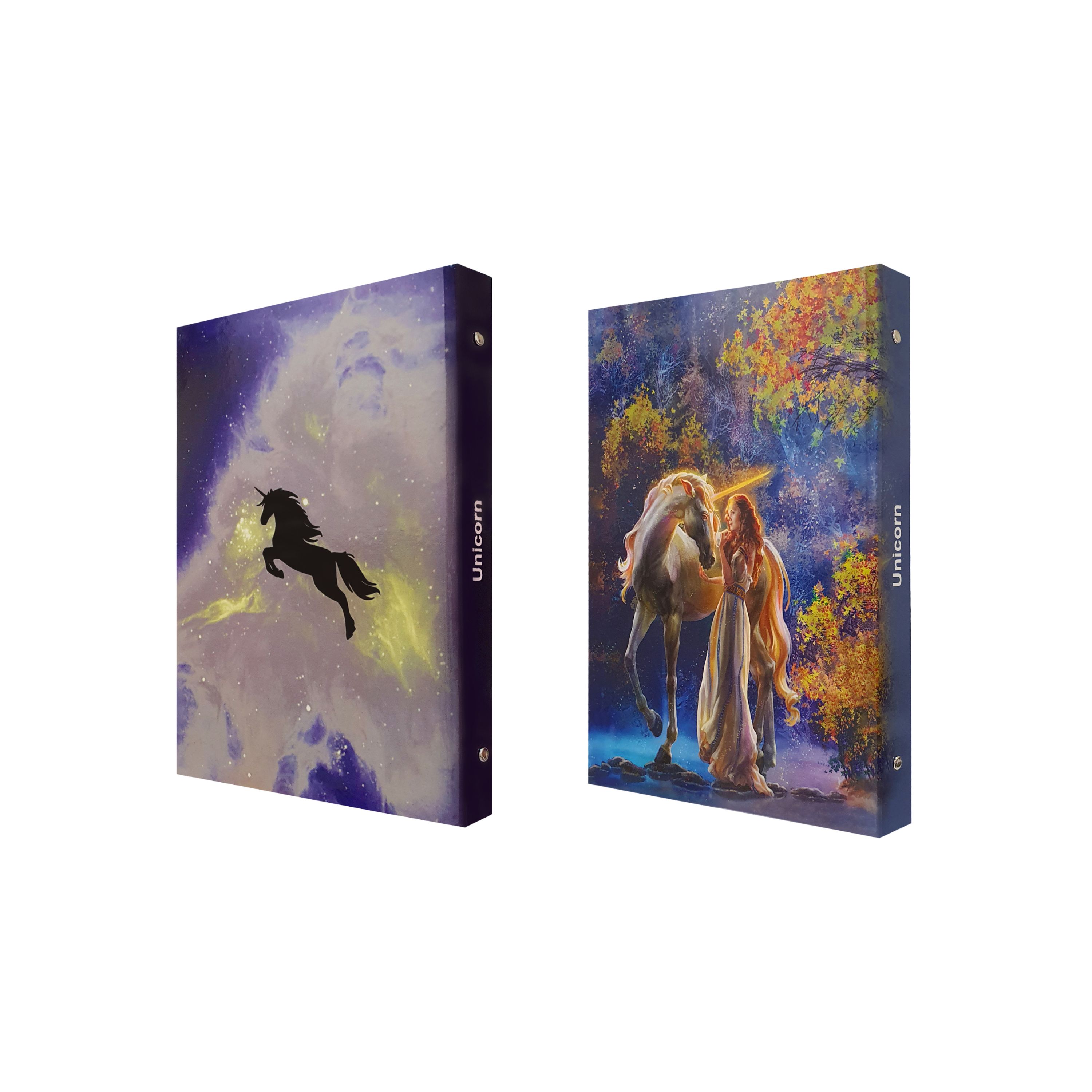 کلاسور 100 برگ پدیده نقش مدل کالکشن انیمیشن طرح unicorn مجموعه2عددی