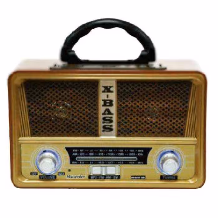 رادیو اسپیکر بلوتوثی مکسیدر مدل Maxeeder AM01