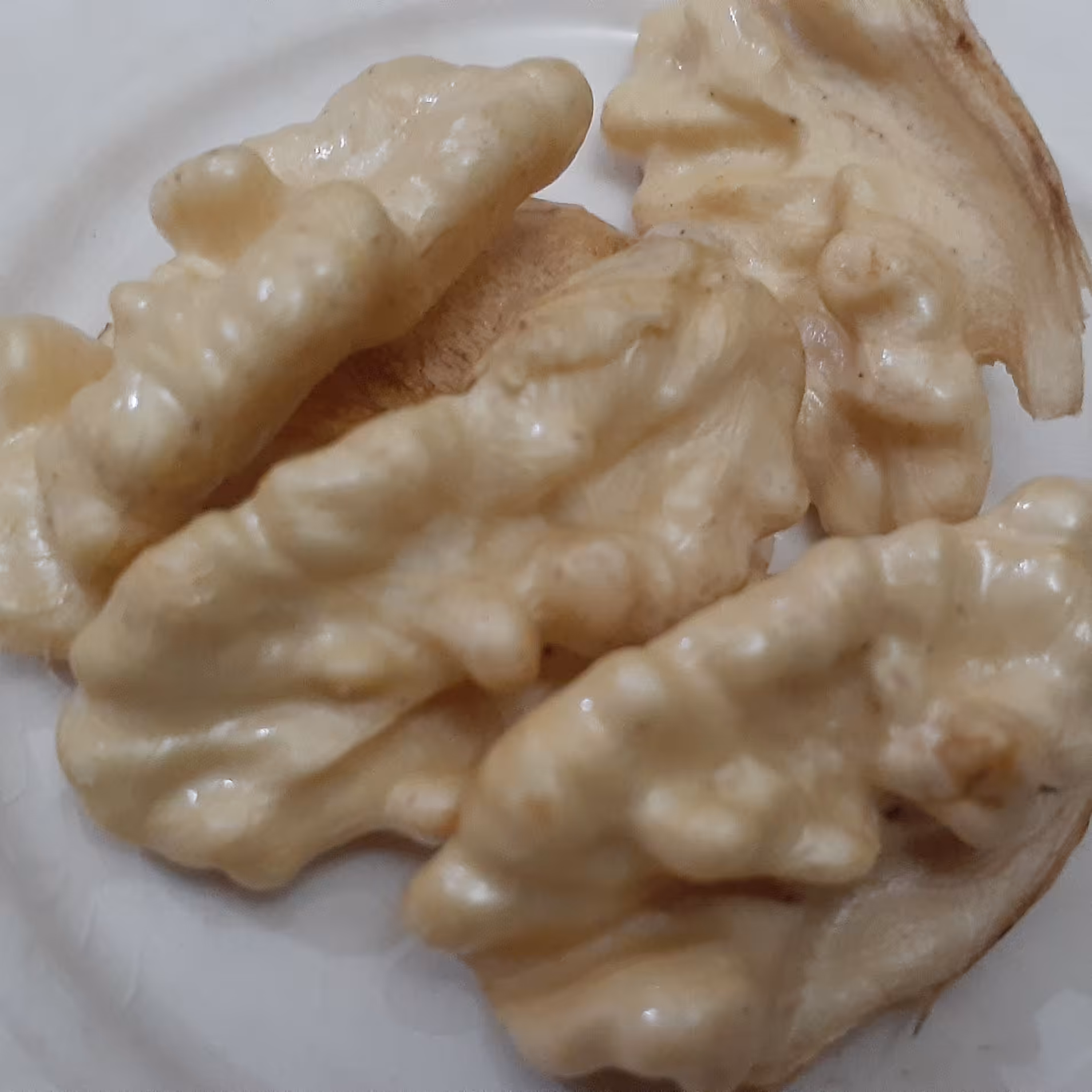 گردوی تر و سبز