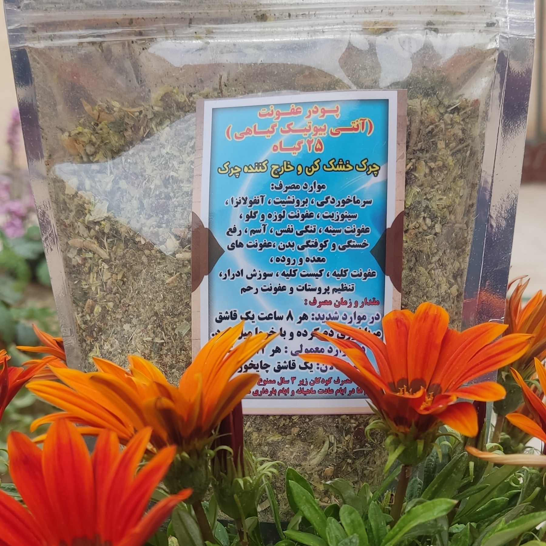 25گیاه آنتی بیوتیک