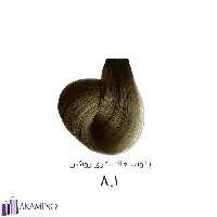 رنگ مو DF بلوند خاکستری روشن شماره 81