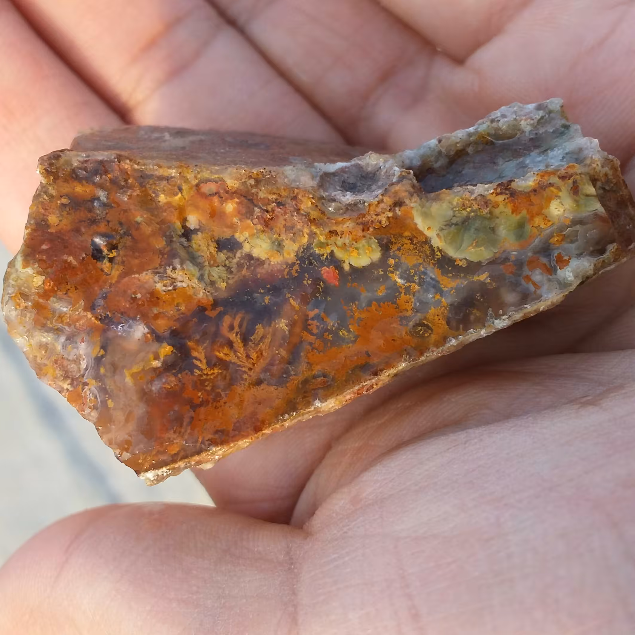 سنگ راف عقیق شجر منظره 7رنگ شجر  واضح  100 در 100 طبیعی شااهکار خلقت
تابلو نقاشی طبیعی
بی نظییر
