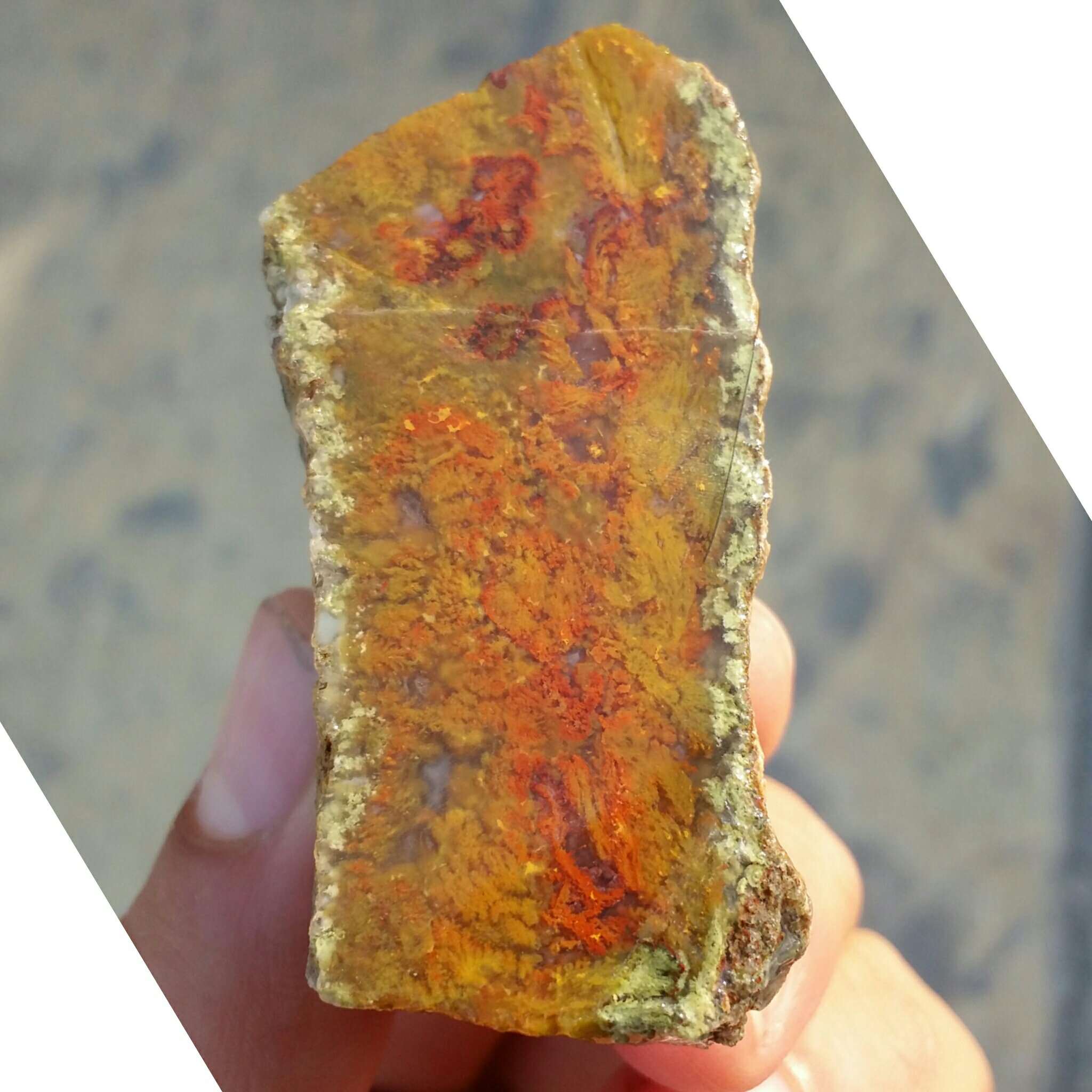 اسلایس سنگ راف عقیق شجر منظره پاییزی بسیار دیدنی شاهکار خلقت کاملا طبیعی
با قابلیت ساخت چند نگین محشر
کد 8887