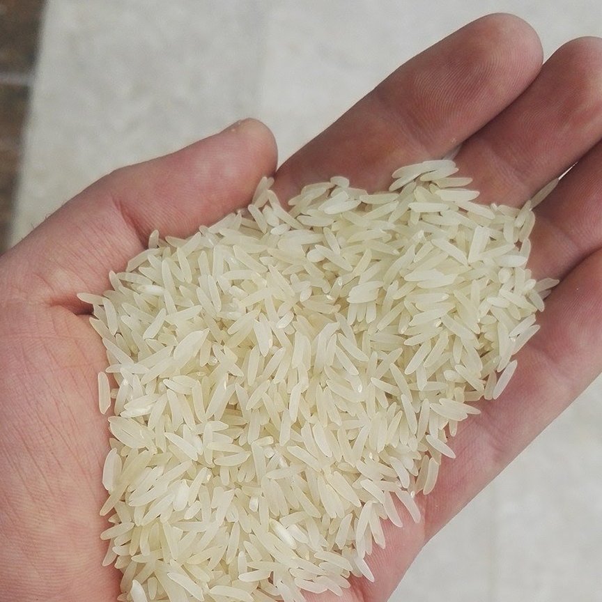 برنج طارم فجر شمال 10 کیلوگرمی با ارسال رایگان