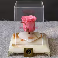 رز جاودان نگار