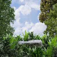 بک دراپ عکاسی محصول سنگی با برگ | گرافیک با طعم تربچه