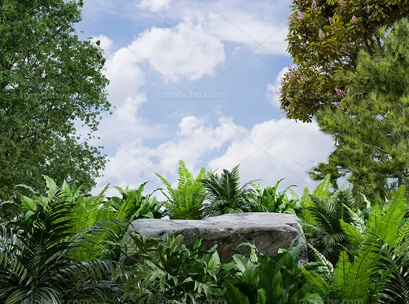 بک دراپ عکاسی محصول سنگی با برگ | گرافیک با طعم تربچه