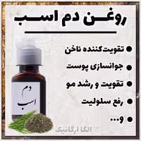 روغن دم اسب خالص الگا بزرگ (تقویت ناخن، تقویت مو، رفع یبوست، رفع چین و چروک، ضد جوش )(دم اسبی)