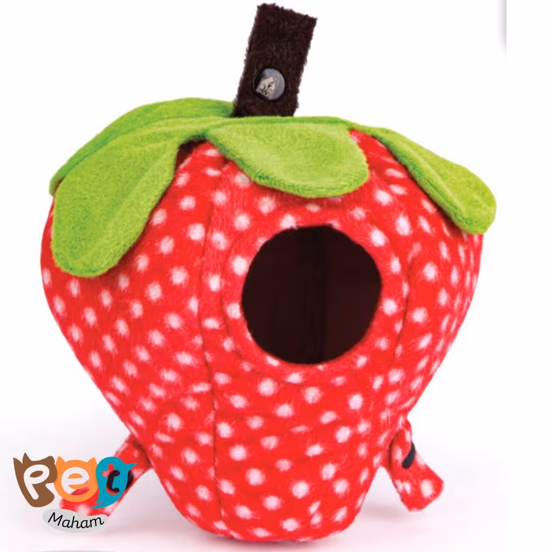 لانه پرنده مدل مخفیگاه توت فرنگی مدیم