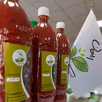 رب گوجه فرنگی 