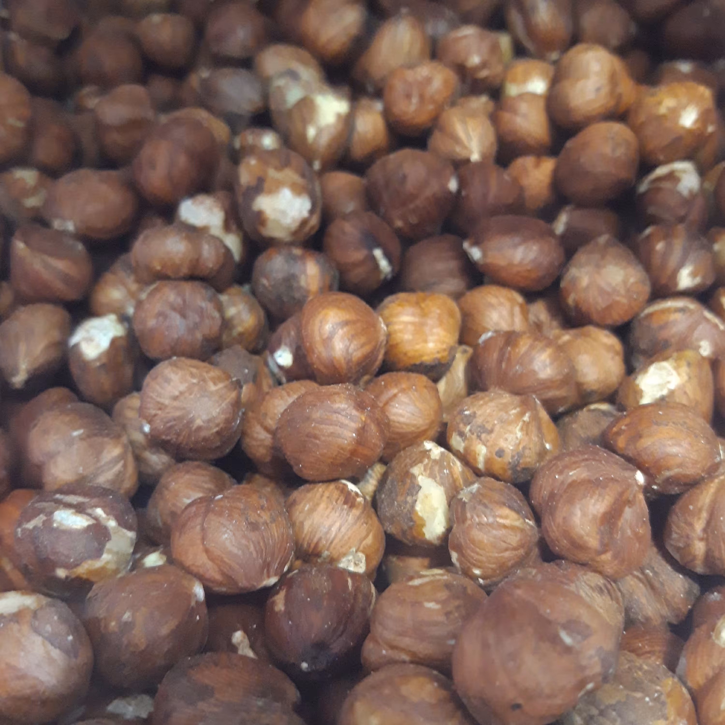 مغز فندق درجه یک امسالی و درشت(400)گرمی