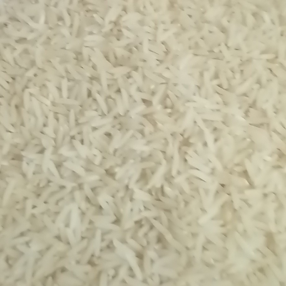 برنج طارم فجر