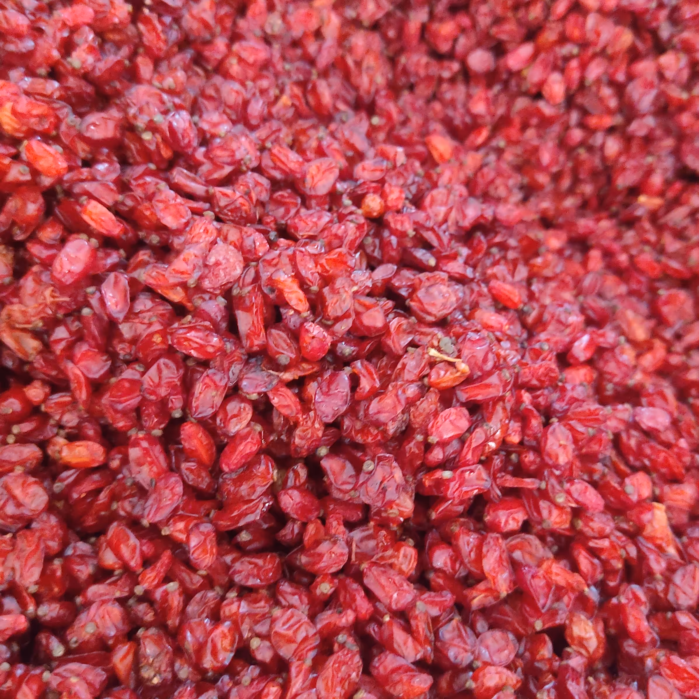 زرشک پفکی اعلا