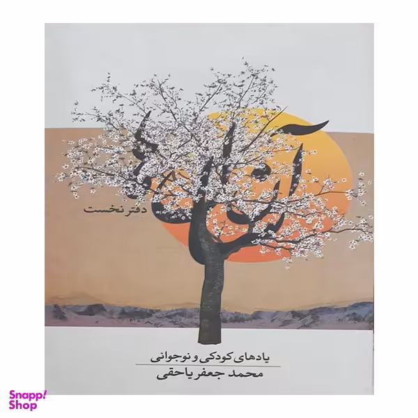 کتاب آن سال ها اثر محمد جعفر یاحقی انتشارات معین