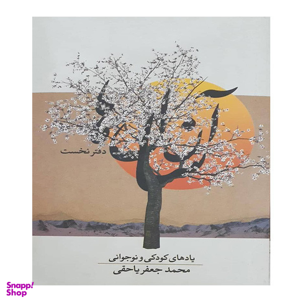 کتاب آن سال ها اثر محمد جعفر یاحقی انتشارات معین